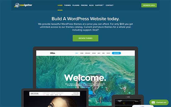 Mua theme wordpress ở đâu uy tín, giá rẻ tốt nhất 2022
